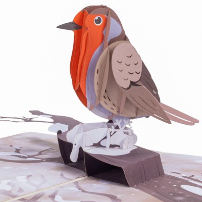 robin