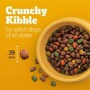 Pedigree Roasted Chicken, Grain and Vegetable Flavor Dry Dog Food - 14lbs - 3 of 4