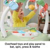 Fisher-Price Puppy Perfection Spacesaver Jumperoo Baby Bouncer Activity Center with Overhead Toy Bar, Play Panel, Lights and Sounds, Multicolor - 3 of 4