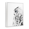 Stupell Industries Snow Owl Peering Blue Eyes Framed Giclee Art - 2 of 4