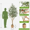 Garvee 7/8ft Faux Olive Tree, Tall Olive Tree Plants, Fake Potted Olive Silk Tree, Artificial Olive Trees for Modern Home Living Room Floor Decor - 4 of 4
