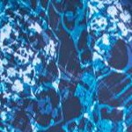 blue medallion print