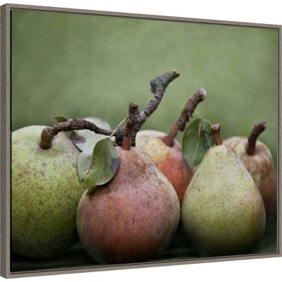 Green and Red Pears Framed Canvas Wall Art Print
