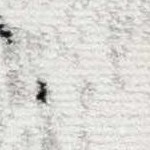 white, light gray, medium gray, black