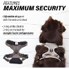 Venture Paw Pull Control Dog Harness - Dried Sage - 4 of 4