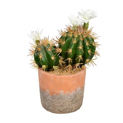 Vickerman 9" Artificial Green Cactus in Clay Pot.