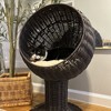 Angel Sar 27" Elevated Cat Bed Rotatable Egg Chair, Woven Pod with Thick Cushion & Natural Grass Mat, Coffee Brown Cat Hammock for Indoor Cats - 2 of 4