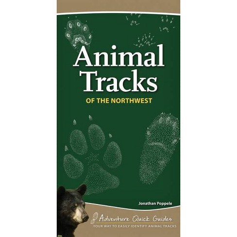 Animal Tracks of California