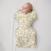 Love To Dream Swaddle UP Adaptive Original Swaddle Wrap - Pears - 3 of 3
