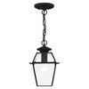 Livex Lighting Westover 1 - Light Pendant in  Black - 2 of 4