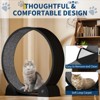 Cat Exercise Wheel for Indoor Cats, 45'' Large Cat Running Wheel with Detachable Carpet & Pedometer, ABS Pet Treadmill for Running Walking Training - 4 of 4