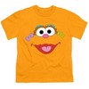 Boys' Short Sleeve Sesame Street Zoe Face T-Shirt - 2 of 4