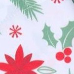 holly leaves