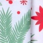 holly leaves