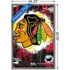 Trends International NHL Chicago Blackhawks - Maximalist Logo 23 Framed Wall Poster Prints - 3 of 4