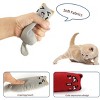 Potaroma Flapping Sandpiper and 6 Pcs Hanging Cat Toys Soft Indoor Cat Toys Self Play Interactive Pillows Catnip Filled 5PCS Plush - 3 of 3