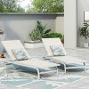2 PCS FINN Patio Lounge Chair Chaise Recliner Weather Resistant without Cushion-Christopher Knight Home - 4 of 4