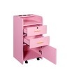 ORRD Lockable Salon Storage Cabinet with Hair Dryer Holder, Stylist Station with Drawers for Beauty Shop or Spa - 3 of 4