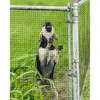 Whizmax Hardware Cloth 1/4 Inch, Chicken Wire Fencing, 24" X 100' Galvanized Wire Mesh Roll, Raised Garden Bed Supports Wire Mesh Fence - 4 of 4