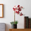 Forever Leaf Alabama State Faux Orchid, Indoor Artificial Plant for Home Decor - 3 of 4