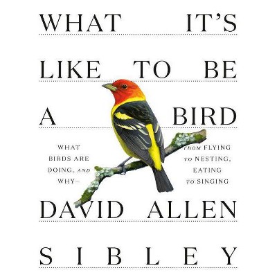 What It's Like to Be a Bird - (Sibley Guides) by David Allen Sibley (Hardcover)