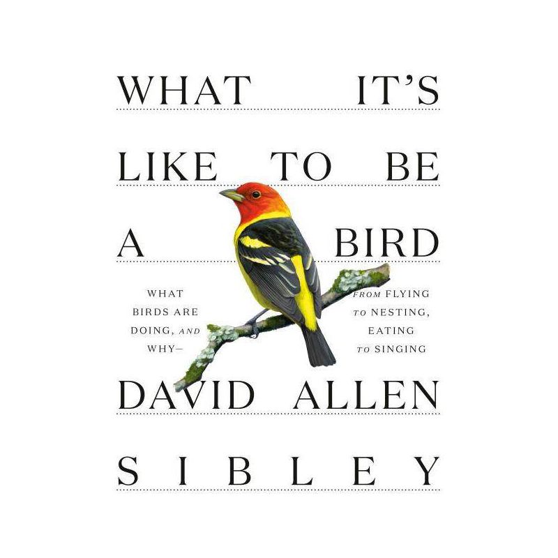What It&#39;s Like to Be a Bird - (Sibley Guides) by David Allen Sibley (Hardcover), 1 of 2