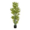 Gulches 60in Artificial Lucky Bamboo Tree Set of 2 in Pot Green Polyester Stalks Indoor Outdoor Decor No Maintenance Faux Plants - 4 of 4