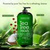 Majestic Pure Tea Tree Body Wash - Soothes and Moisturizes Irritated Skin - 16 Fl Oz - 3 of 4