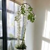 Floral Home 69" White Wisteria Spray - 12-Piece - 3 of 4