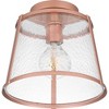 Quoizel Lighting Labrant 1 - Light Semi-Flush Mount in  Matte Rose Gold - 4 of 4