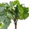 Vickerman Green Artificial Fittonia Bush - 3 of 3