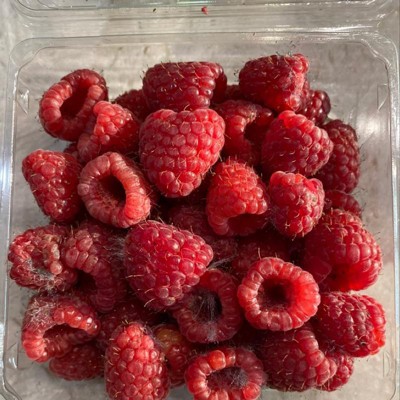 Organic Raspberries - 6oz : Target