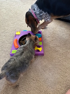 Dog Enrichment Feeder Toys — San Doggo