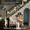 FAAYFIAN 66 ft 200-LED RGB Color Changing String Lights, Outdoor Christmas Lights with Remote & Timer - 4 of 4