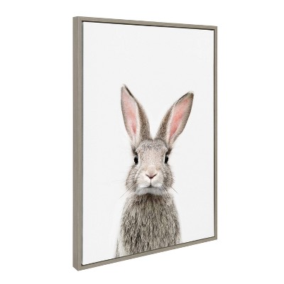 Gray Framed Canvas Print of Young Rabbit, 23" x 33"