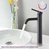 Gulches Modern Tall Bathroom Faucet, Single Handle, A Grade 304 Stainless Steel, One Hole Lavatory Sink Faucet - 4 of 4