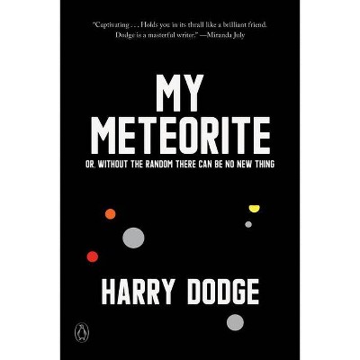 My Meteorite - by  Harry Dodge (Paperback)