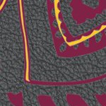 arizona state sun devils