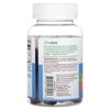 Lifeable Vitamin D3 Gummies, Sugar Free, Natural Berry, 60 Gummies (25 mcg (1,000 IU) per Gummy) - 3 of 4