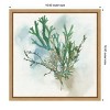Amanti Art Green Coral I by Aimee Wilson Canvas Wall Art Print Framed 16 x 16-in. - 4 of 4