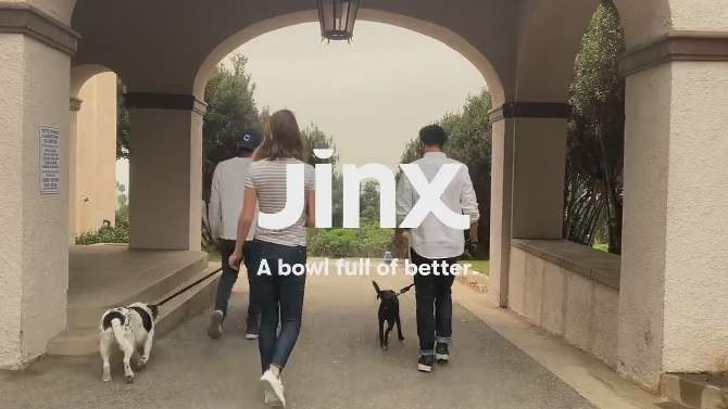 Jinx Grain-Free Dry Dog Food with Chicken, Sweet Potato & Carrot Flavor, 2 of 8, play video