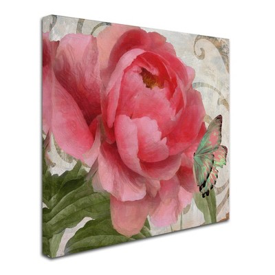 Trademark Fine Art -Color Bakery 'Apricot Peonies II' Canvas Art