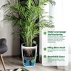 Set of 2 Tall 16” Self-Watering Garden Planters – Durable Flower Pots with Built-in Drainage & Water Level Indicator for Indoor and Outdoor Plants - 3 of 4