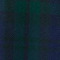 classic navy/evergreen plaid