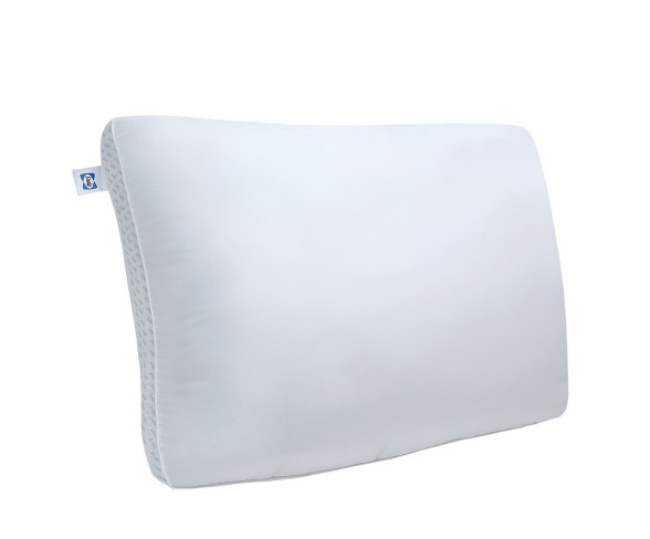 Sealy memory store foam bed pillow