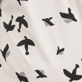 bird gray