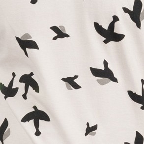 bird gray