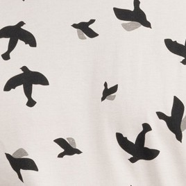 bird gray
