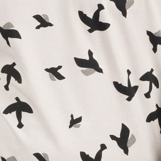 bird gray