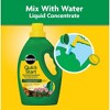 Miracle-Gro 4-12-4 Quick Start Planting and Transplant Starting Solution, 48oz - 3 of 4